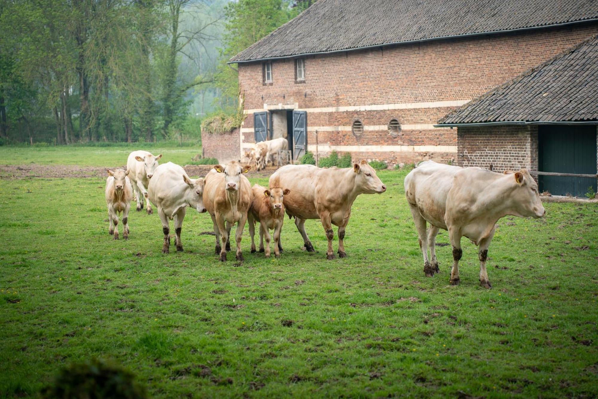 Aan 't Laantje Ferienhaus *